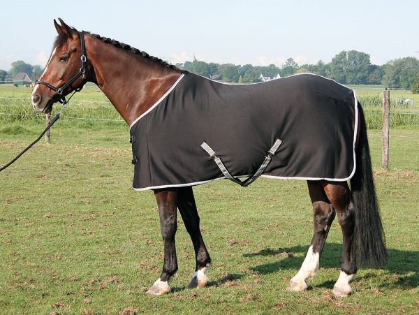 Chladivá deka na koňa | ProHorse.sk