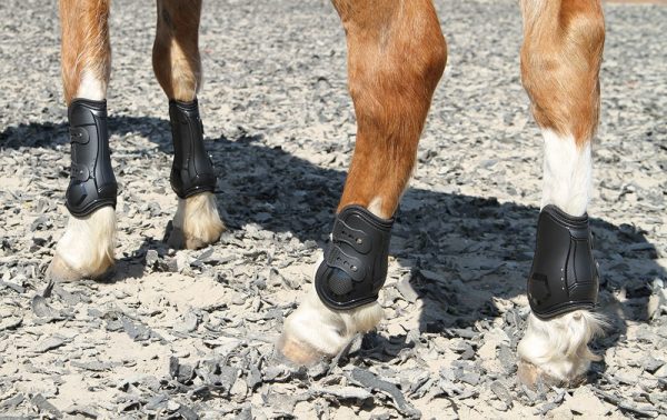 Zadné chrániče pre koňa Percy air | ProHorse.sk