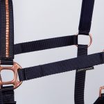 31000009_navy-2
