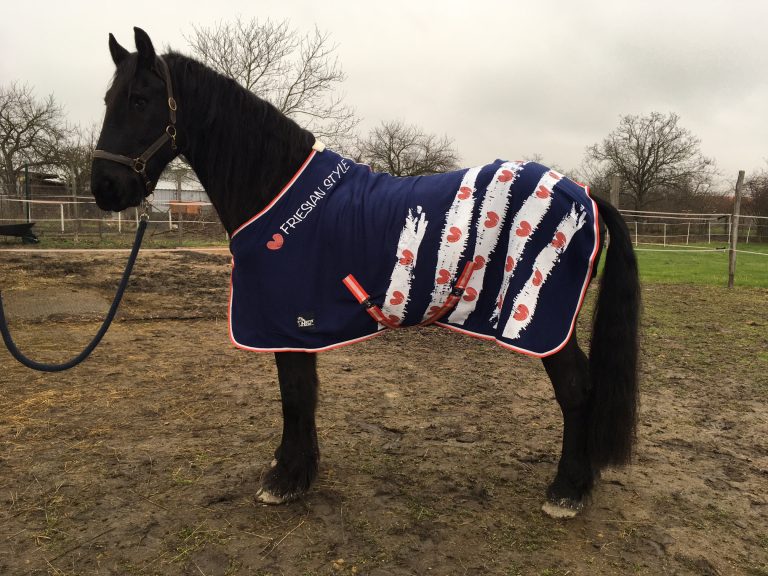 Referencie | ProHorse.sk
