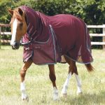 1-SS20-Combo-Mesh-Air-Fly-Rug-with-Surcingles-Wine-Main-Image-72-RBG-zoom