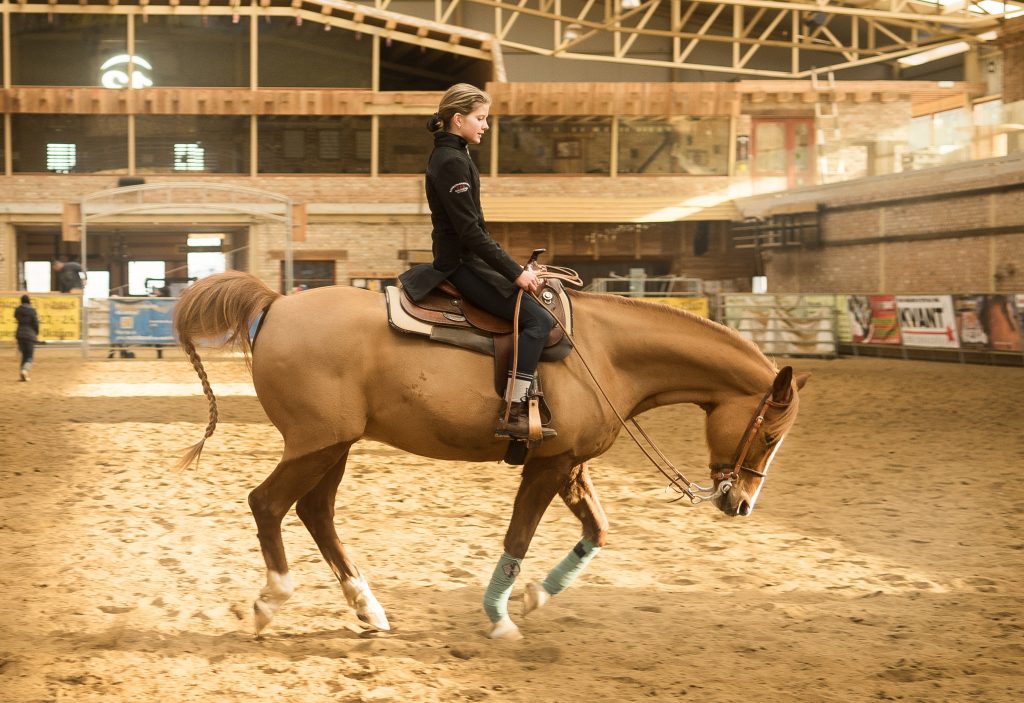 Kubko a Ninka | ProHorse.sk Kubko a Ninka | ProHorse.sk