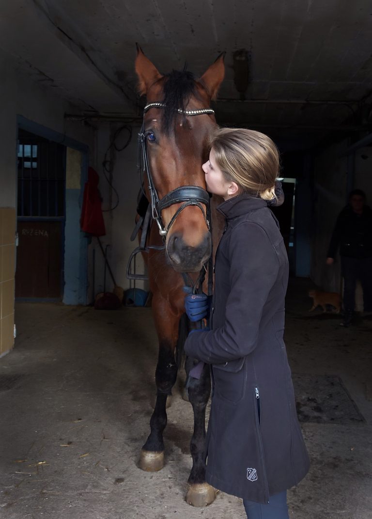 Referencie | ProHorse.sk