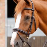 9-Delizioso-Snaffle-Bridle-Path-Brown-Webx900