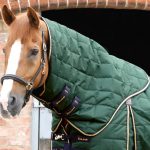 AW19-Lucanta-Stable-Rug-200-Green-Neck-RGB-72-zoom