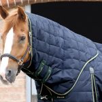 AW19-Lucanta-Stable-Rug-450-Navy-Neck-RGB-72-zoom