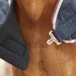 AW20-Horse-Walker-Rug-0g-Navy-Chest-Lining-72-RGB-zoom