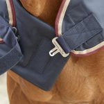 AW20-Horse-Walker-Rug-0g-Navy-Chest-Opening-2-72-RGB-zoom