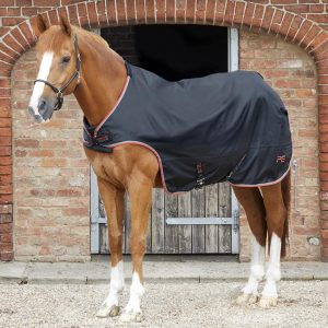 Výbehová deka 100g