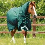 Buster-200-Turnout-Rug-Green-1_768x