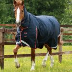 Buster-Storm-200-Turnout-Rug-Navy-1_1600x