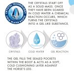 Cold-Water-Boot-Infographic-zoom