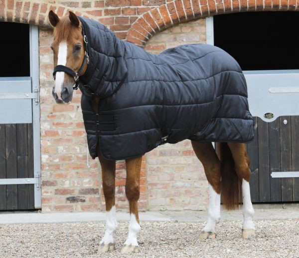 Vložka do deky - kombinovaný návlek na koňa: 100, 200 a 350 g | ProHorse.sk