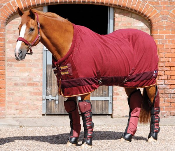 Fleecová deka Buster Cooler Rug - kontinentálna edícia | ProHorse.sk