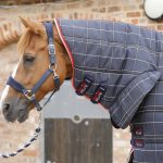Domus-Stable-400---Navy---Neck-Cover-900x775x900