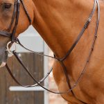 Gressan-Standing-Martingale-Brown-Horse-Webx900