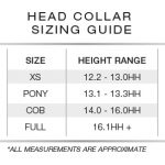 Head-Collar-Size-Guide