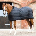 Horse-Rug-Liner-Black-Test_1600x