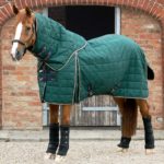 Lucanta-200-Stable-Rug-Green-1_77fa696a-8fac-4a32-a2c7-8b6a795d4345_1600x