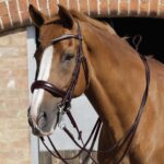 Luigi-Plain-Leather-Reins-Brown-2_c132b8e7-7b09-4462-8537-5e62676f5ae7_2048x