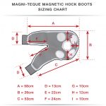 MagniTeque Magnetic Hock Boots