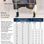 Rug-Sizing-Guide