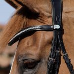 SS19-Abriano-Anatomic-Double-Bridle-with-Crank-Noseband-Close-Up-Head-Piece-