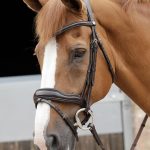 SS19-Favoloso-Anatomic-Bridle-with-Crank-Noseband-Brown-Main-Image-RGB-72-zo