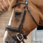 SS19-Favoloso-Anatomic-Bridle-with-Crank-Noseband-Brown-Side-Shot-RGB-72-zoo