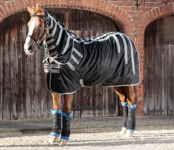 Magnetická deka Equine - terapeutický nástroj - Image 4