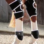 SS19-Magni-Teque-Fetlock-Hock-Boots-Main-Image-RGB-72-zoom