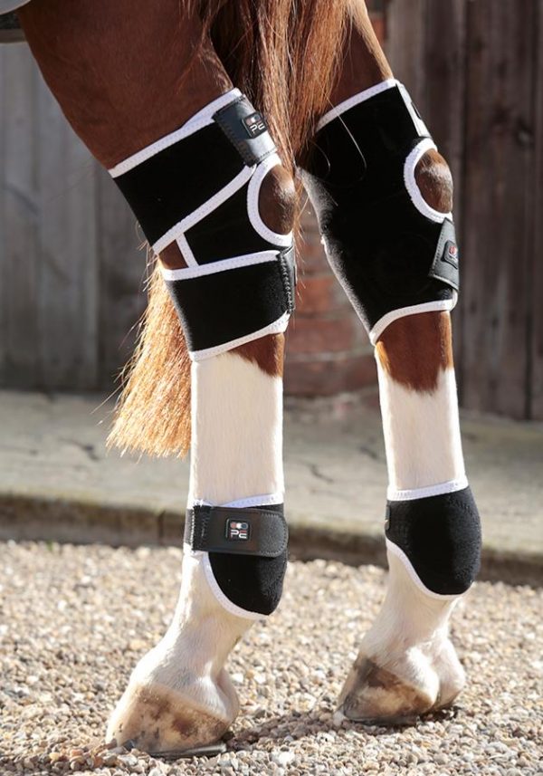 Premier Equine Magnetic na zadné nohy