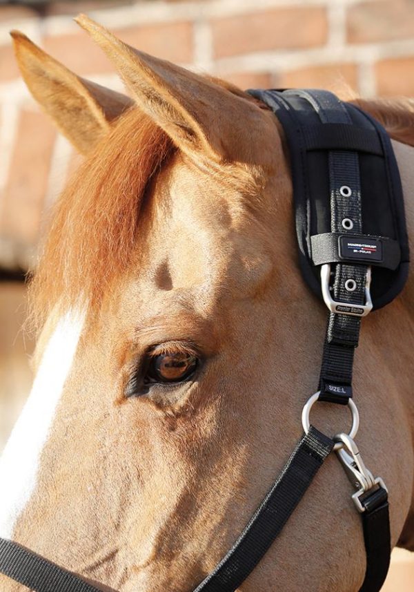 Magnetický návlek na ohlávku | ProHorse.sk