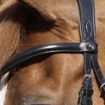 SS19-Rizzo-Anatomic-Snaffle-Bridle-with-Flash-Black-Browband-and-Headpiece-C