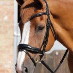 SS19-Rizzo-Anatomic-Snaffle-Bridle-with-Flash-Black-Close-Up-Full-Bridle-RGB