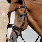 SS19-Rizzo-Anatomic-Snaffle-Bridle-with-Flash-Brown-Main-Image-RGB-72-zoom