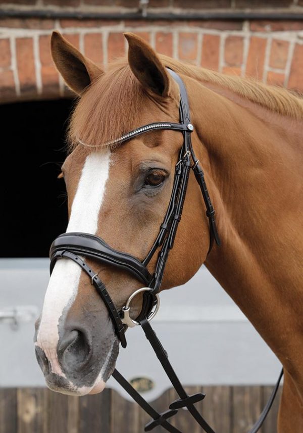 Stellazio Anatomic Snaffle Uzdečka -čierna,hnedá