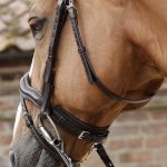 SS19-Stellazzio-Anatomic-Snaffle-Bridle-with-Flash-Brown-Close-Up-Noseband-F