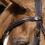 SS19-Verdura-Anatomic-Snaffle-Bridle-Brown-Headpiece-and-Browband-Close-Up-R