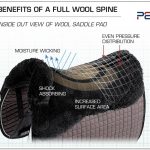 SS19-Wool-Spine-Infographic-zoom