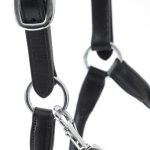 SS20-Hennaroso-Rolled-Anatomic-Leather-Headcollar-Black-Close-Up-Clip-and-Bu