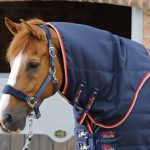 Stable-Buster-100-Navy-Neck-Cover-900x775-zoom