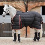 Stable-Buster-400g-Black-No-Neck-900x775-zoom