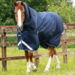 Titan-200-Turnout-Rug-Navy-1_768x