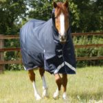 Titan-Storm-200-Turnout-Rug-Navy-1_1600x