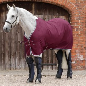 Chladiaca deka Buster Waffle