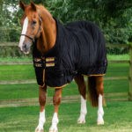 buster-fleece-cooler-continental-black-1_768x