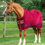 buster-fleece-cooler-continental-burgundy-1_768x