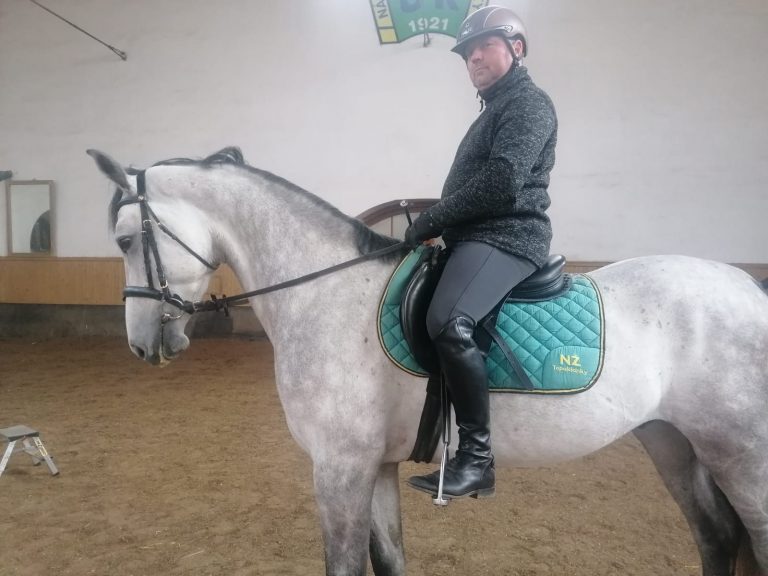 Referencie | ProHorse.sk