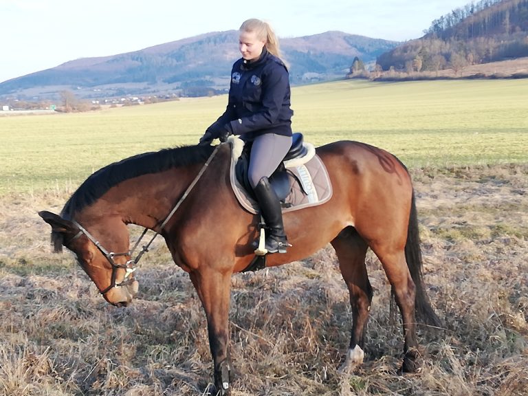 Referencie | ProHorse.sk